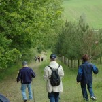 Sur les chemins...
