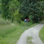 Entrée dans le bois