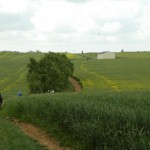Sur le chemin du retour